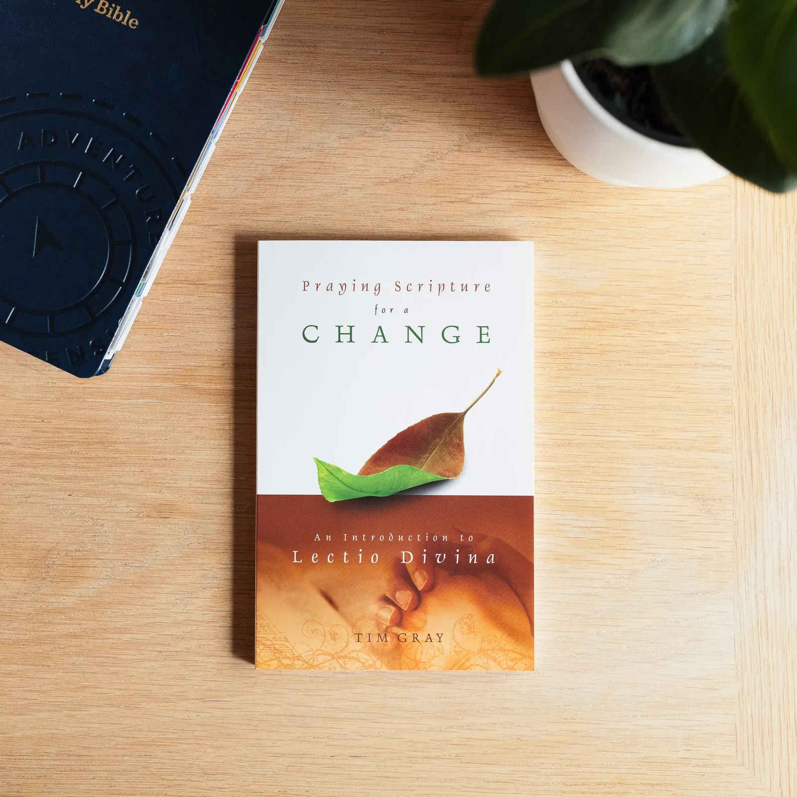 Praying Scripture for a Change: An Introduction to Lectio Divina - Image 3