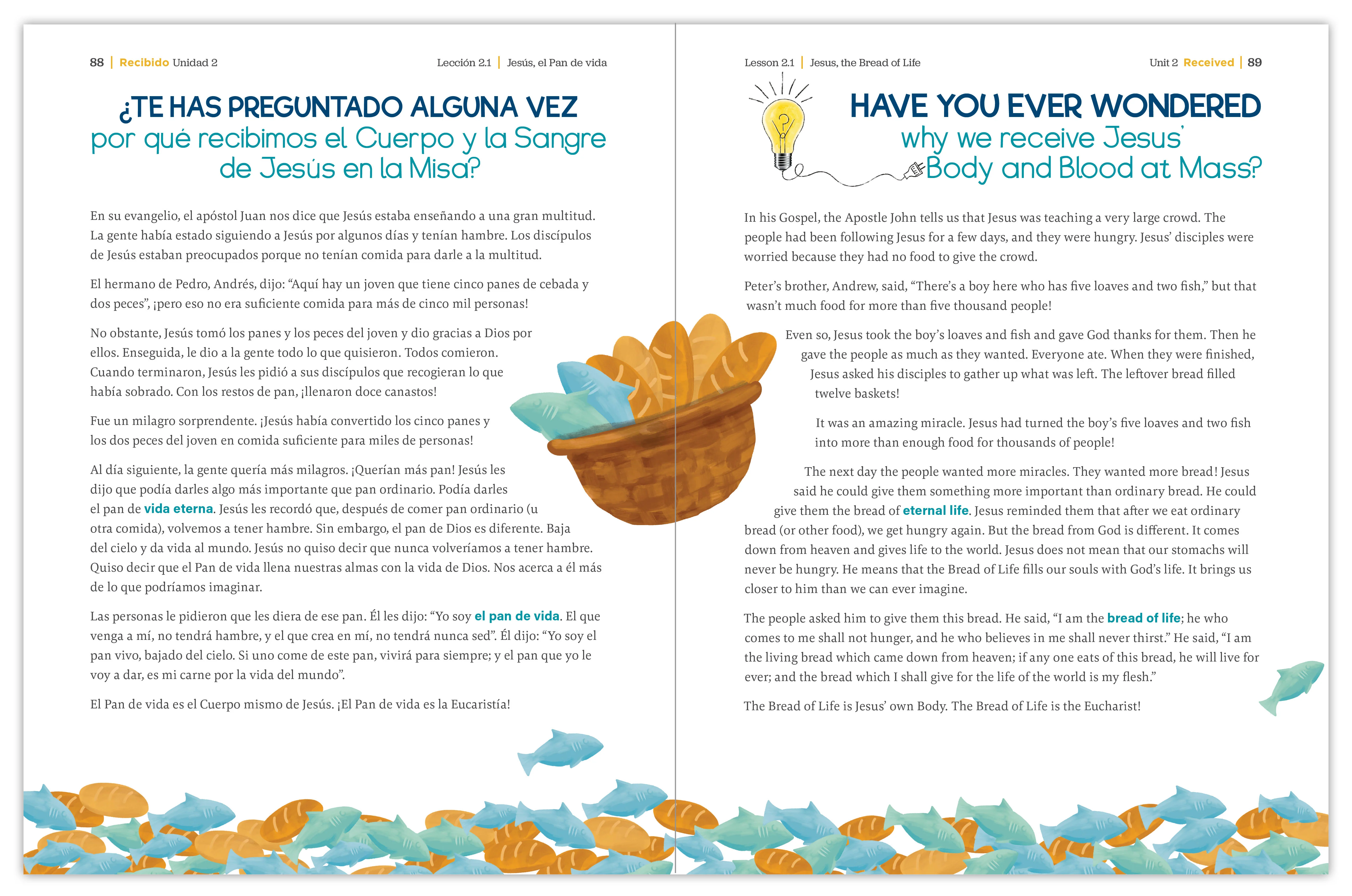 Received Second Edition: Your Journey to First Communion Student Workbook only - Image 25