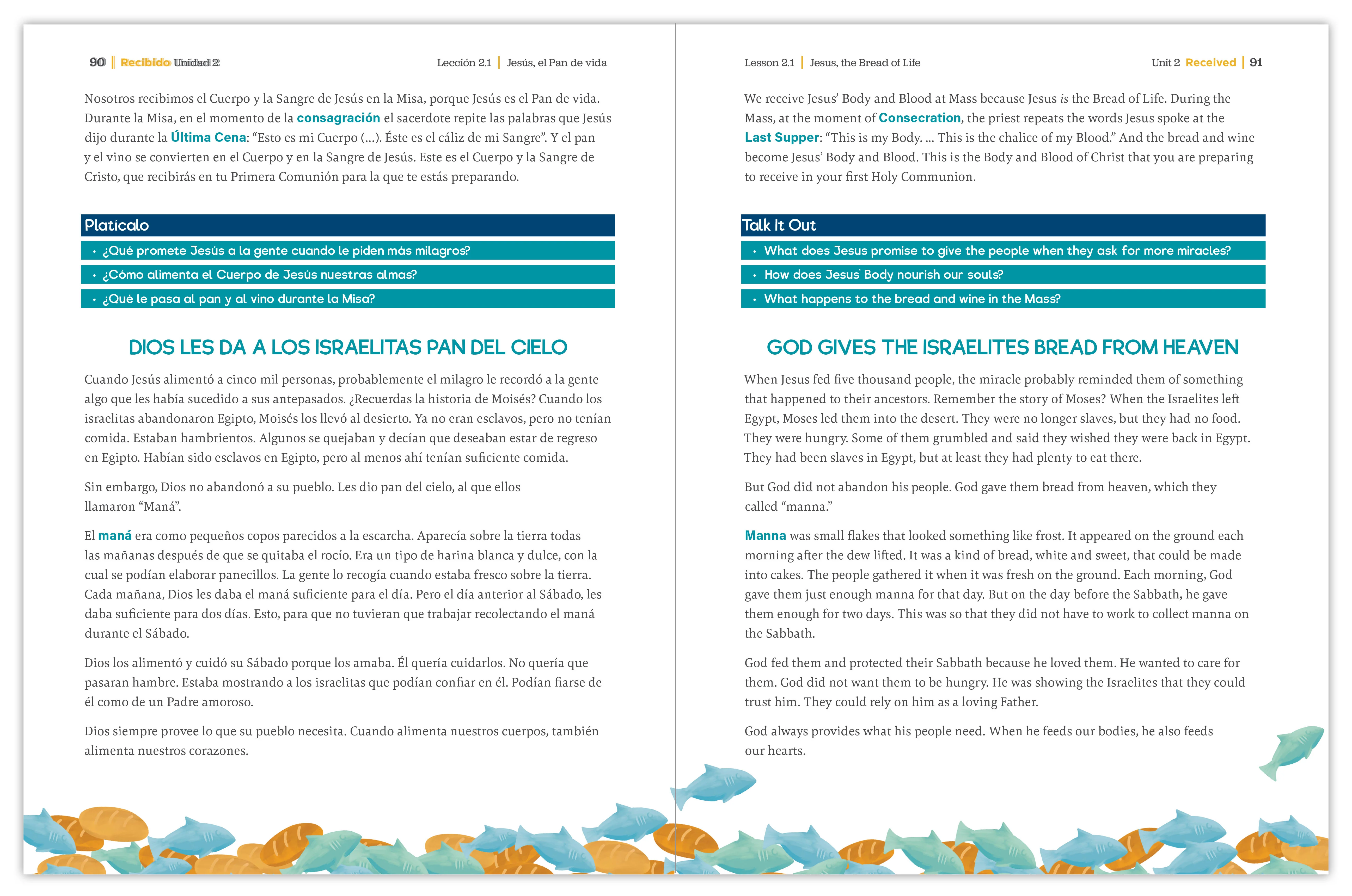 Received Second Edition: Your Journey to First Communion Student Workbook only - Image 26