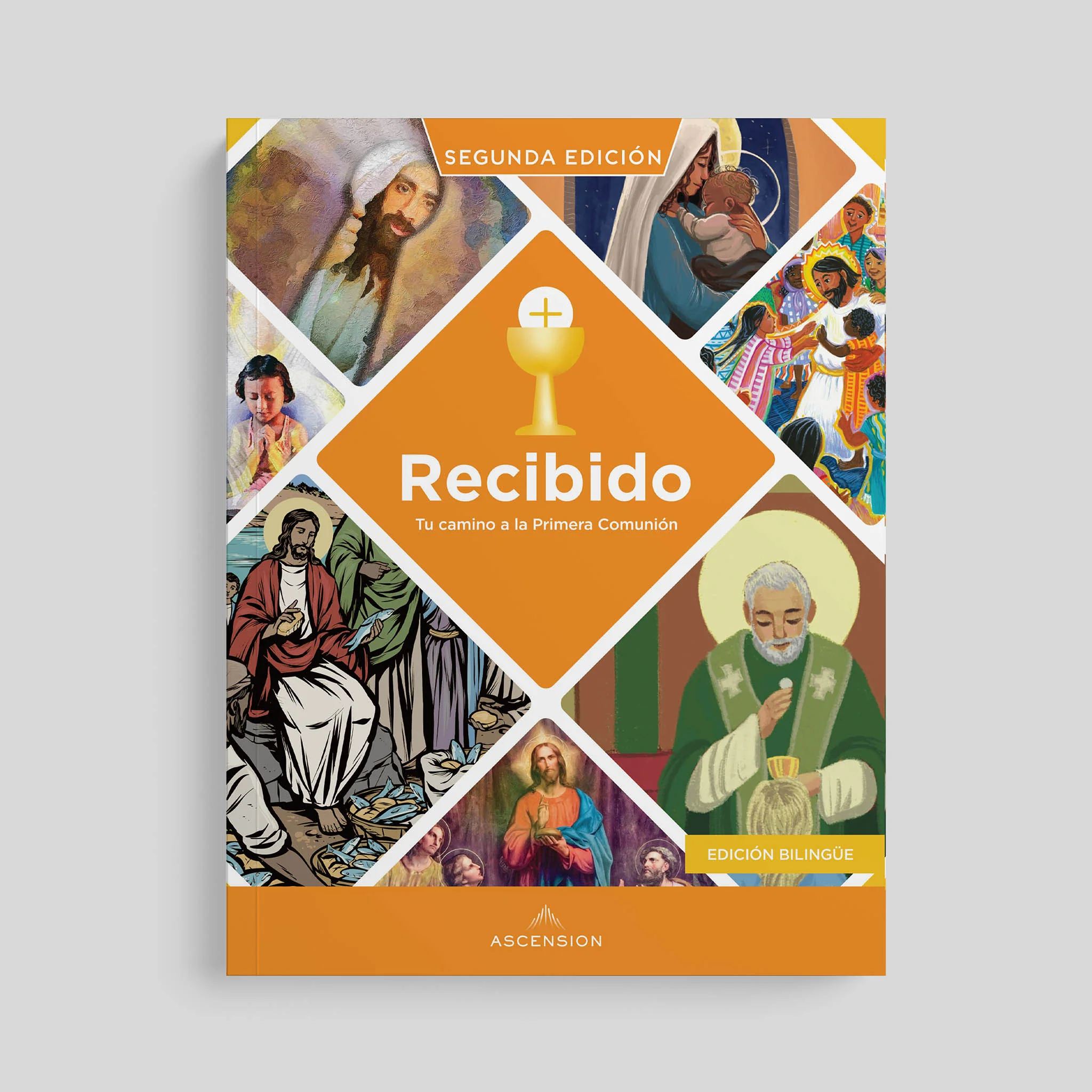 Received Second Edition: Your Journey to First Communion Student Workbook only - Image 4