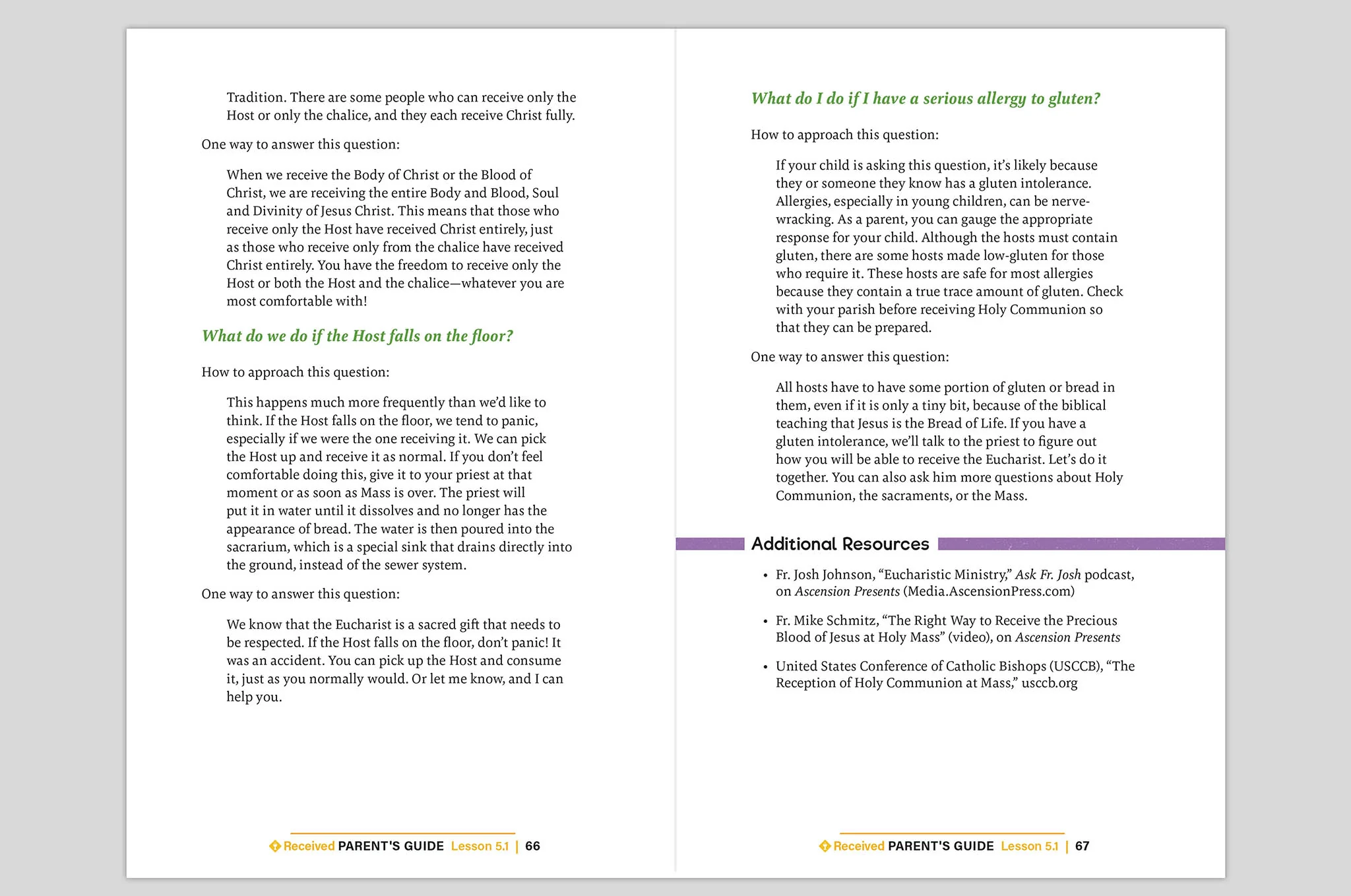 Received: Your Journey to First Communion Parent's Guide - Image 6