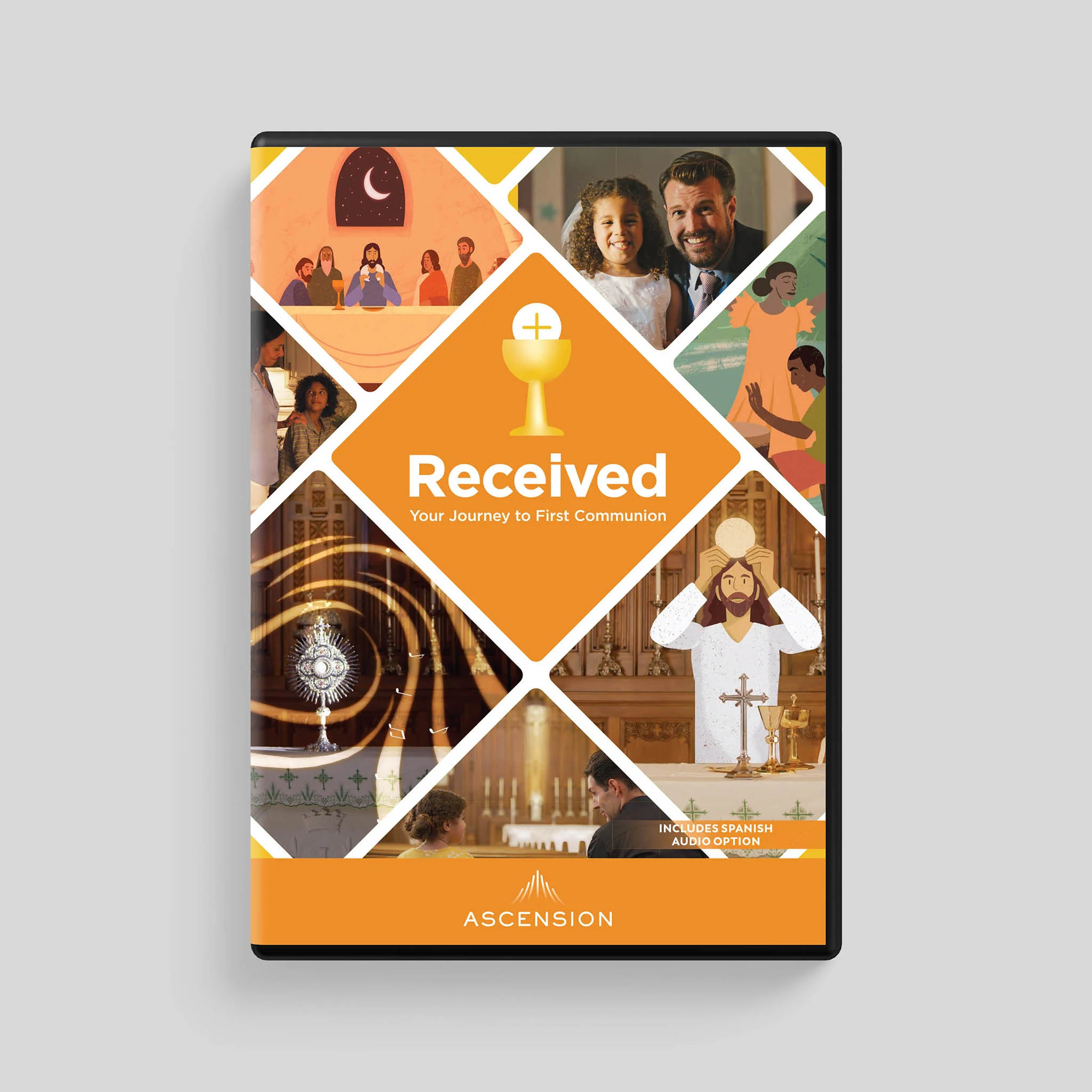 Received Second Edition: Your Journey to First Communion Starter Pack (Includes Online Leader's Access) - Image 10