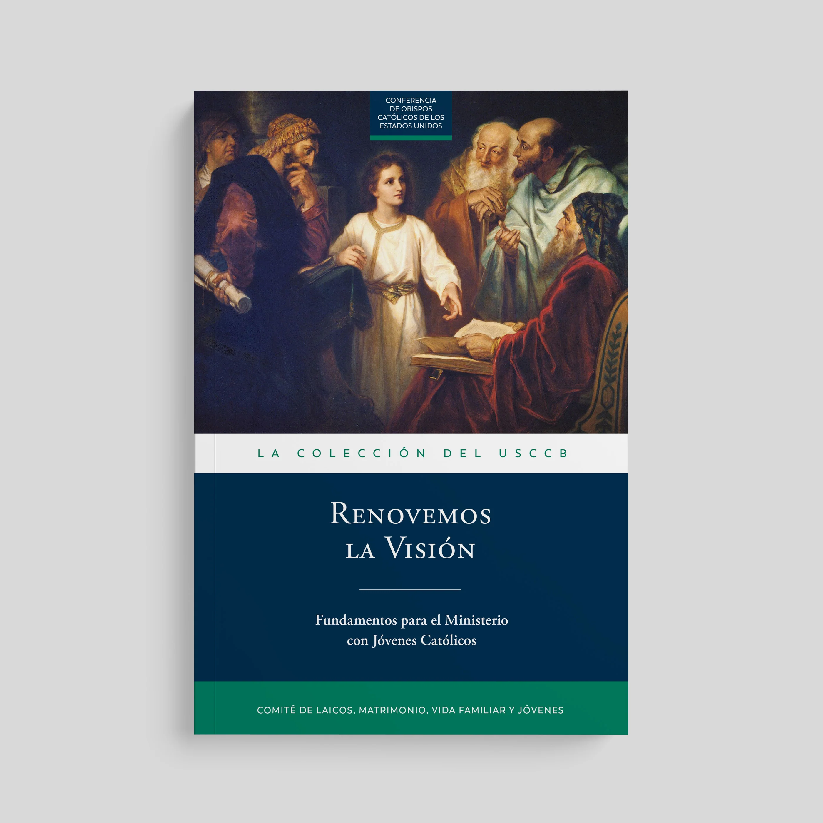 Renewing the Vision: A Framework for Catholic Youth Ministry - Image 11