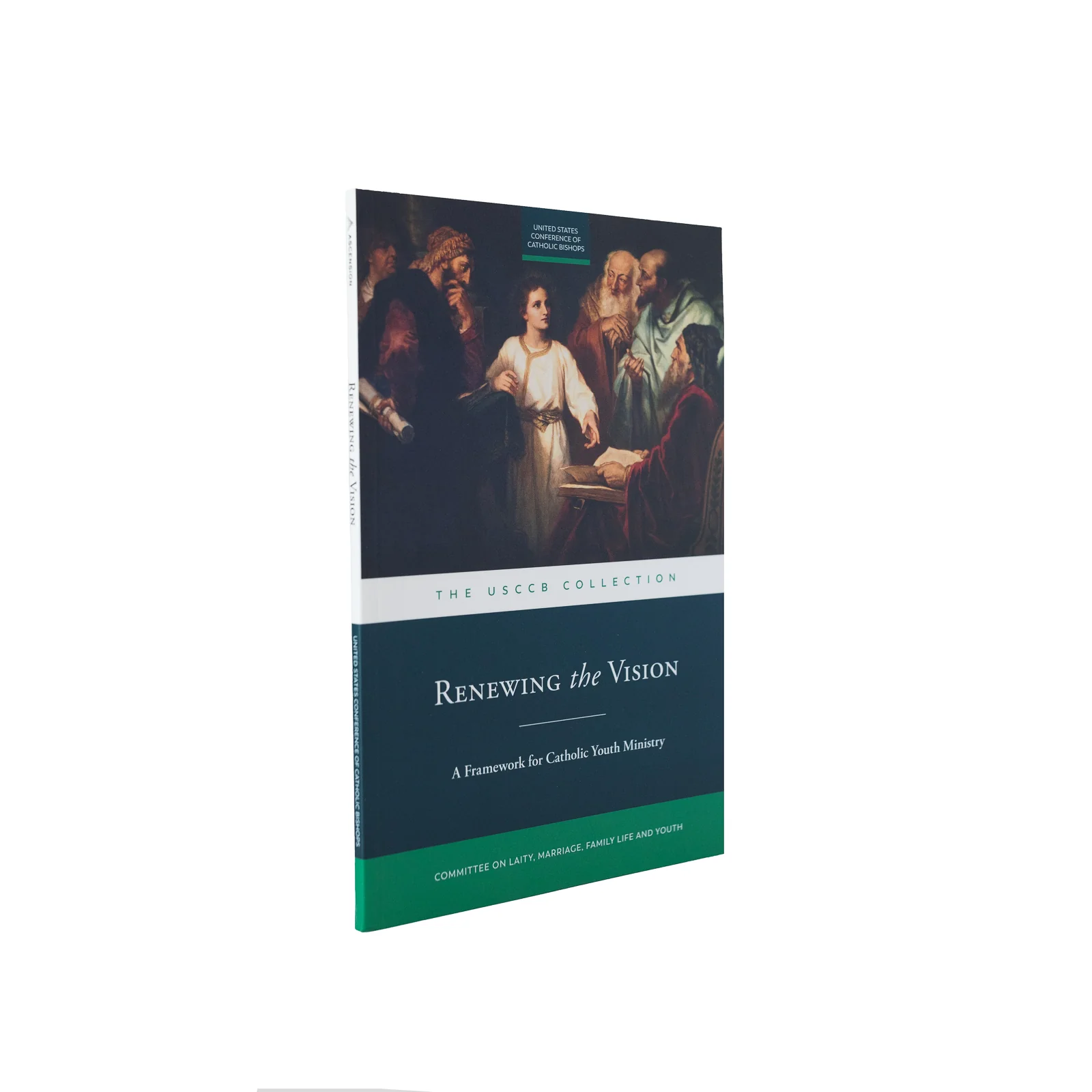 Renewing the Vision: A Framework for Catholic Youth Ministry - Image 2