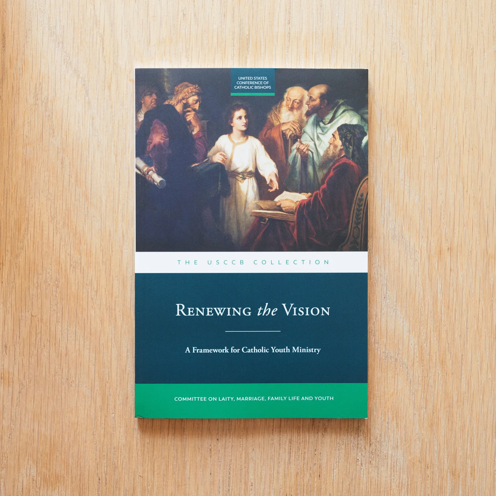 Renewing the Vision: A Framework for Catholic Youth Ministry - Image 7