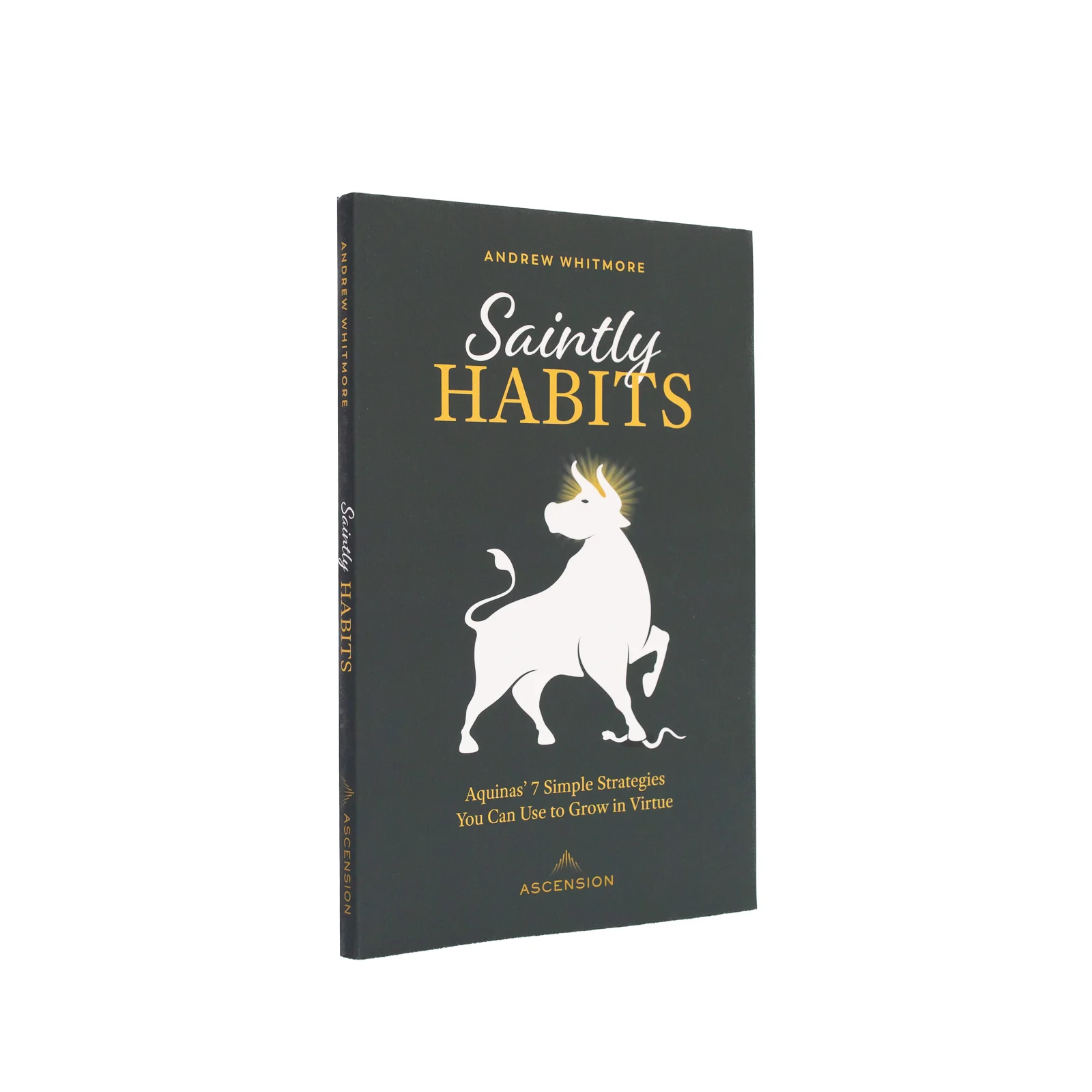 Saintly Habits: Aquinas' 7 Simple Strategies You Can Use to Grow in Virtue - Image 2