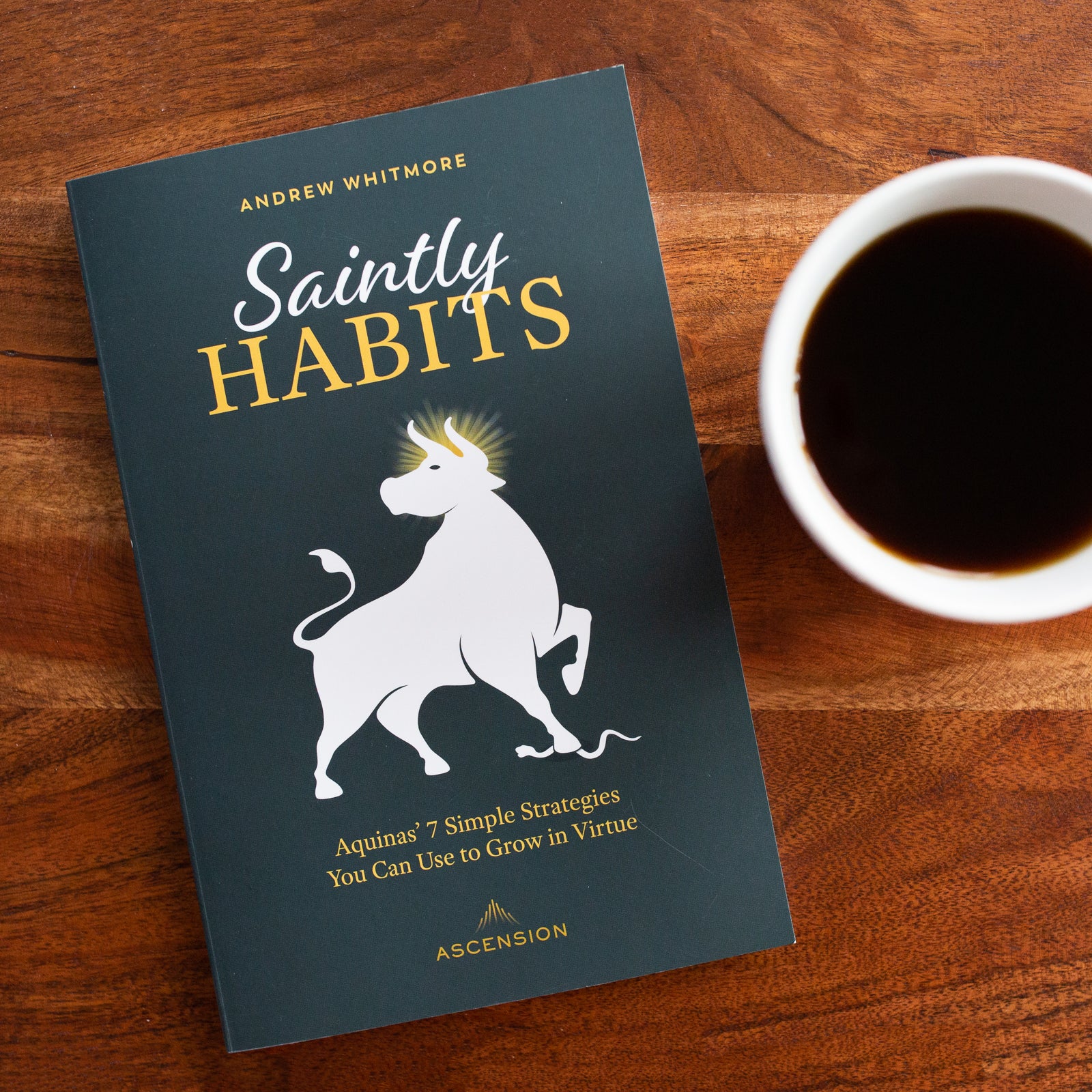 Saintly Habits: Aquinas' 7 Simple Strategies You Can Use to Grow in Virtue - Image 9