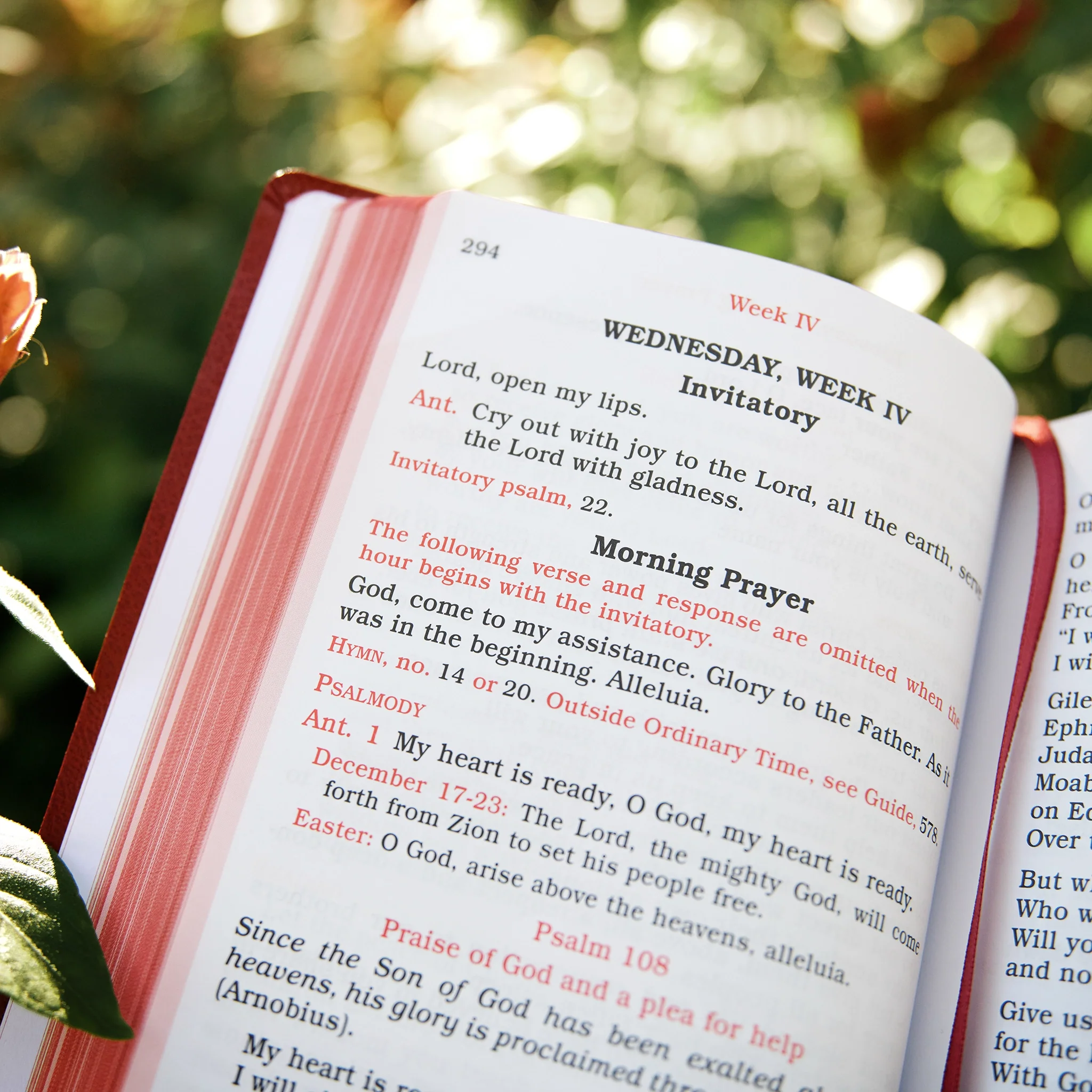 Shorter Christian Prayer: From the Liturgy of the Hours - Image 17
