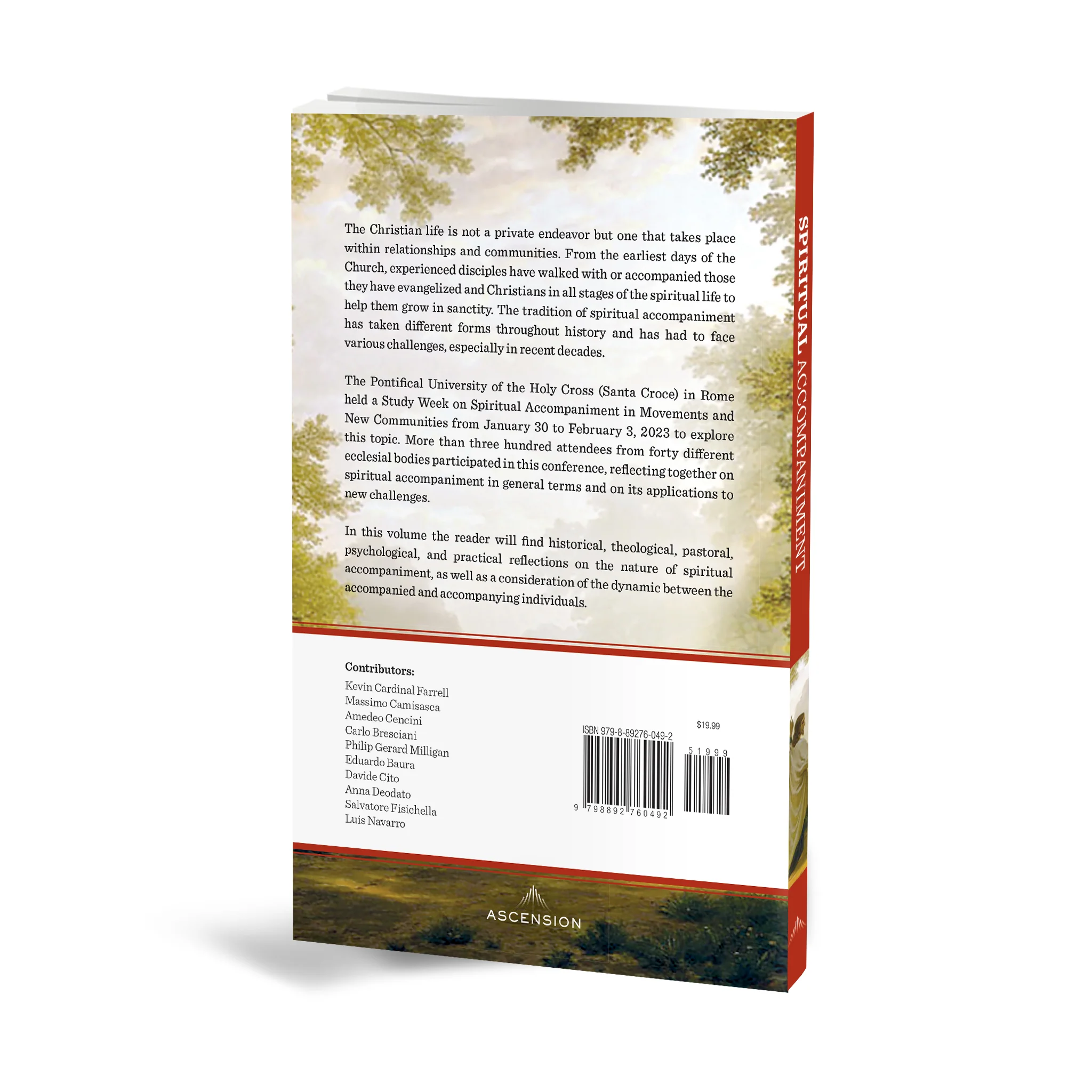 Spiritual Accompaniment in Movements and New Communities: Aiding Human and Supernatural Growth - Image 2