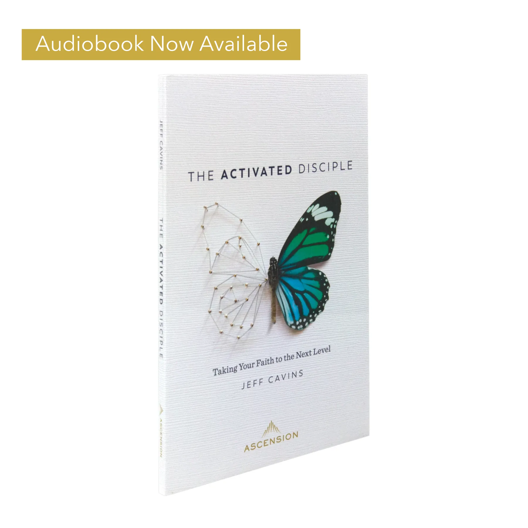 The Activated Disciple: Taking Your Faith to the Next Level - Image 5