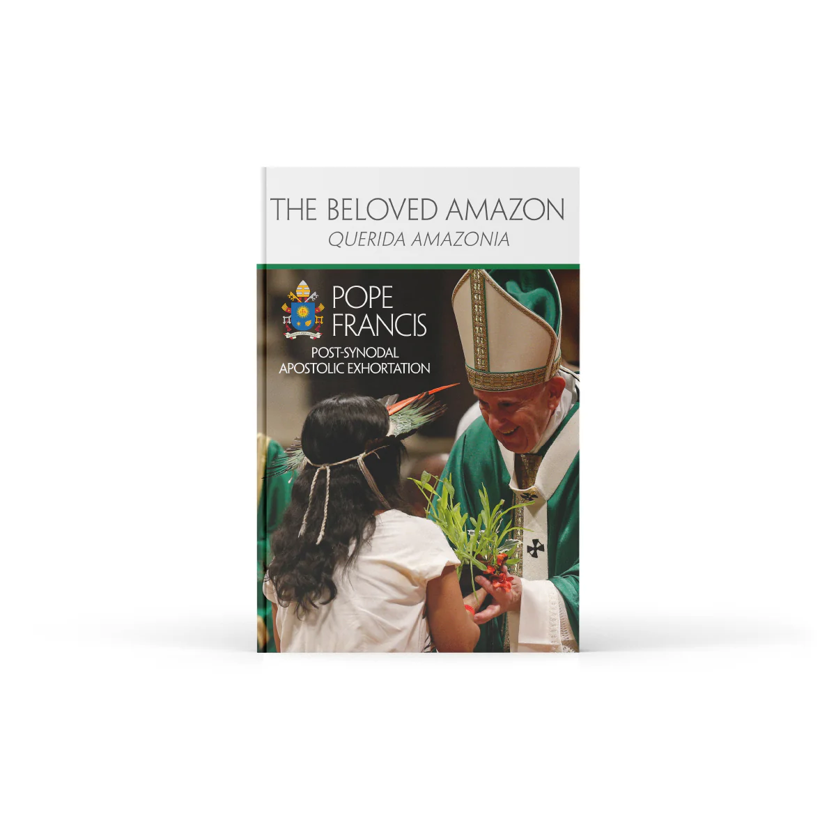 The Beloved Amazon (Querida Amazonia) - Image 2