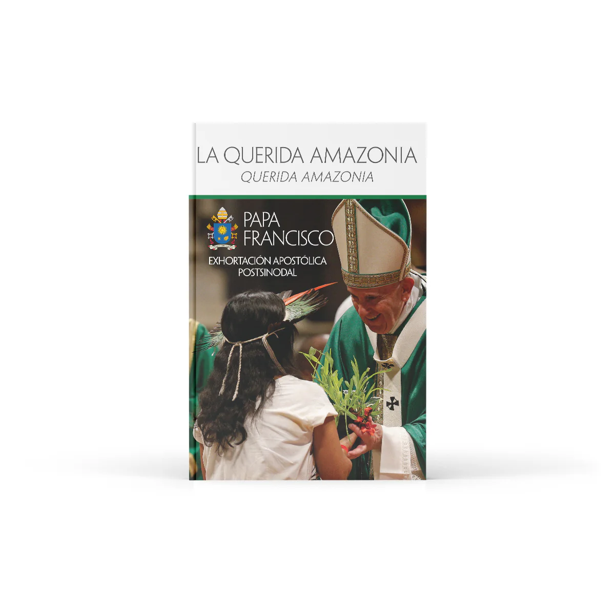 The Beloved Amazon (Querida Amazonia) - Image 4