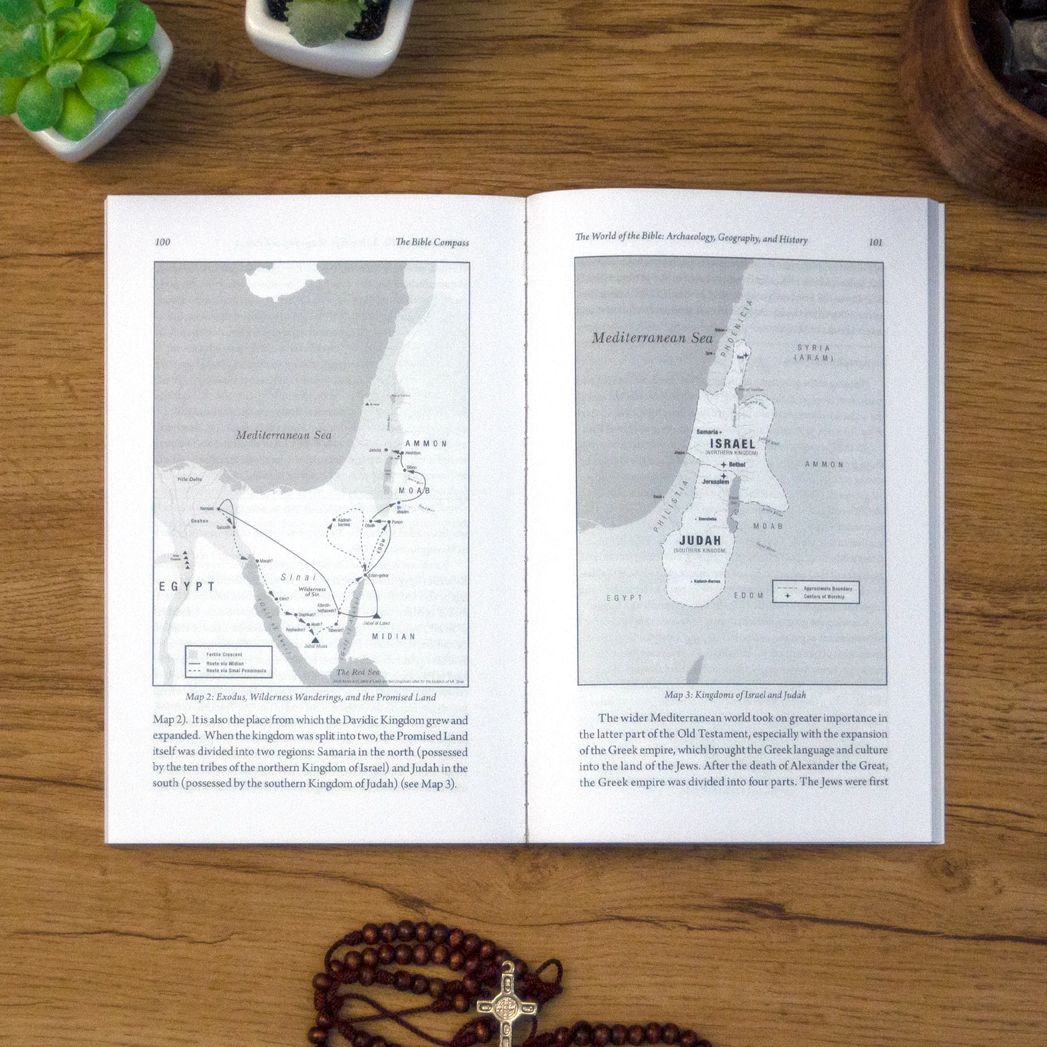 The Bible Compass: A Catholic's Guide to Navigating the Scriptures - Image 4