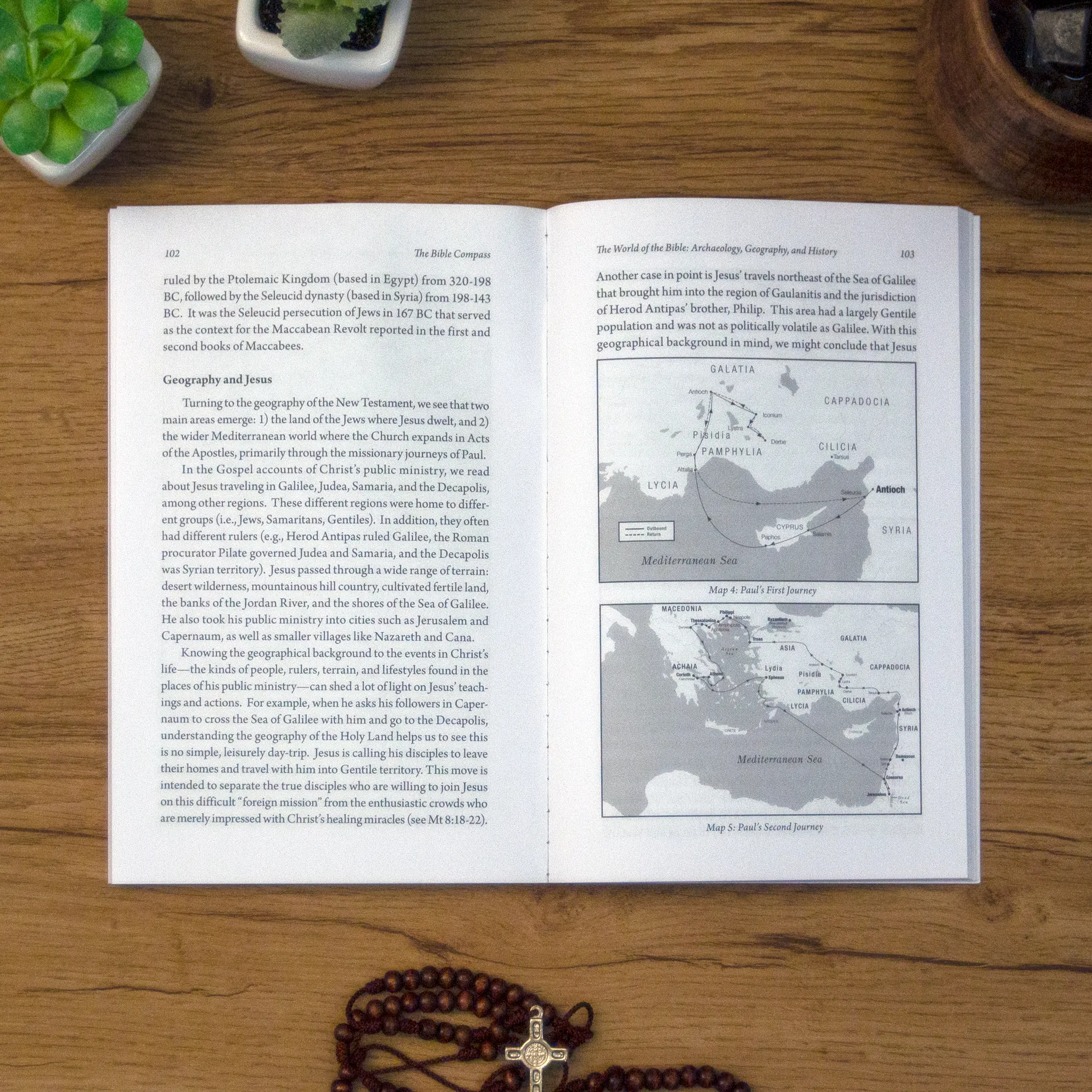 The Bible Compass: A Catholic's Guide to Navigating the Scriptures - Image 5