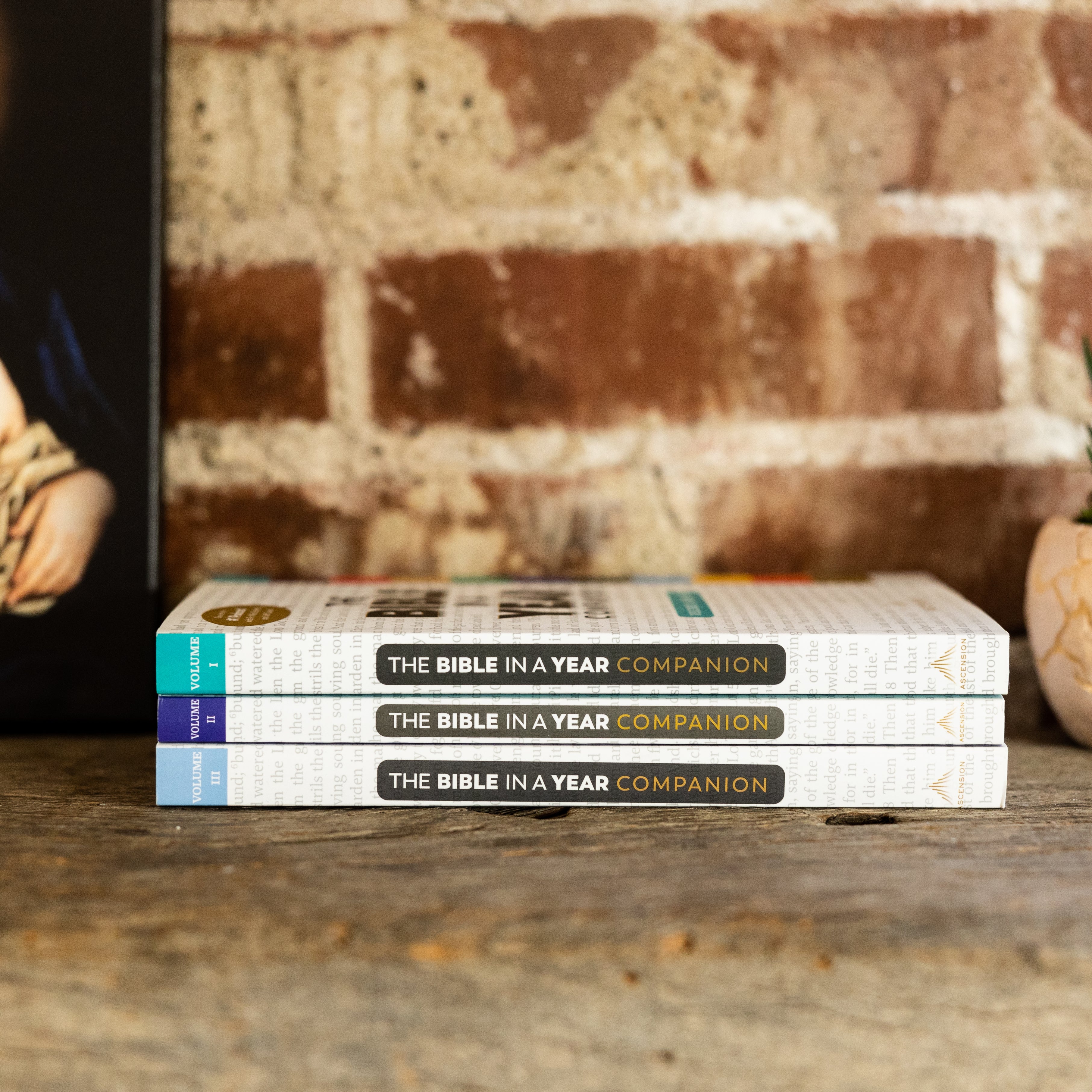 The Bible in a Year Companion, Volume I - Image 12