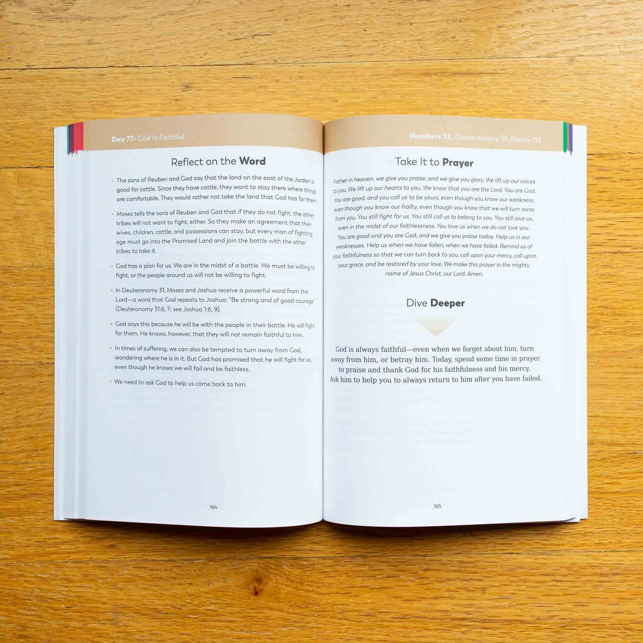 The Bible in a Year Companion, Volume I - Image 6