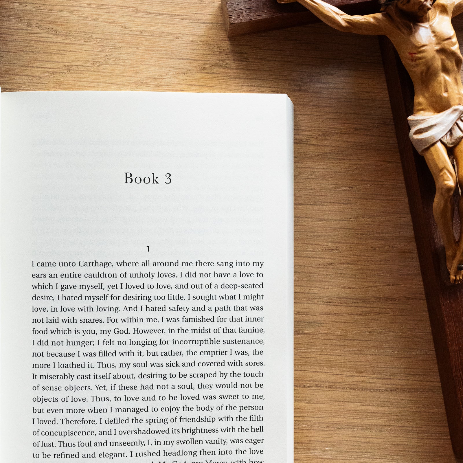 The Confessions of St. Augustine (Catholic Classics) - Image 9