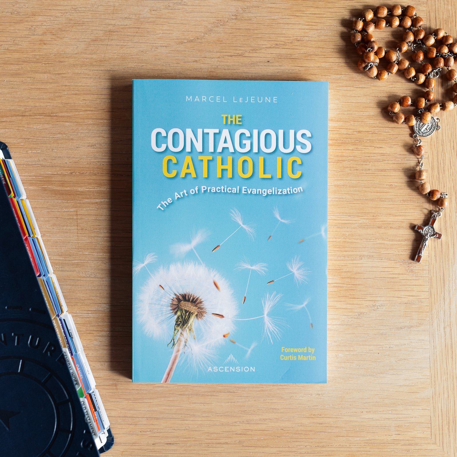 The Contagious Catholic: The Art of Practical Evangelization - Image 4