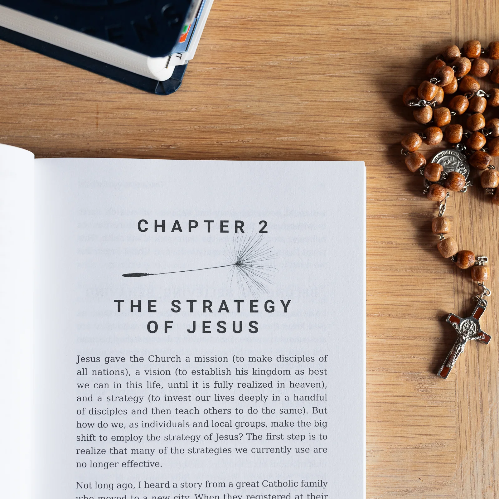 The Contagious Catholic: The Art of Practical Evangelization - Image 5