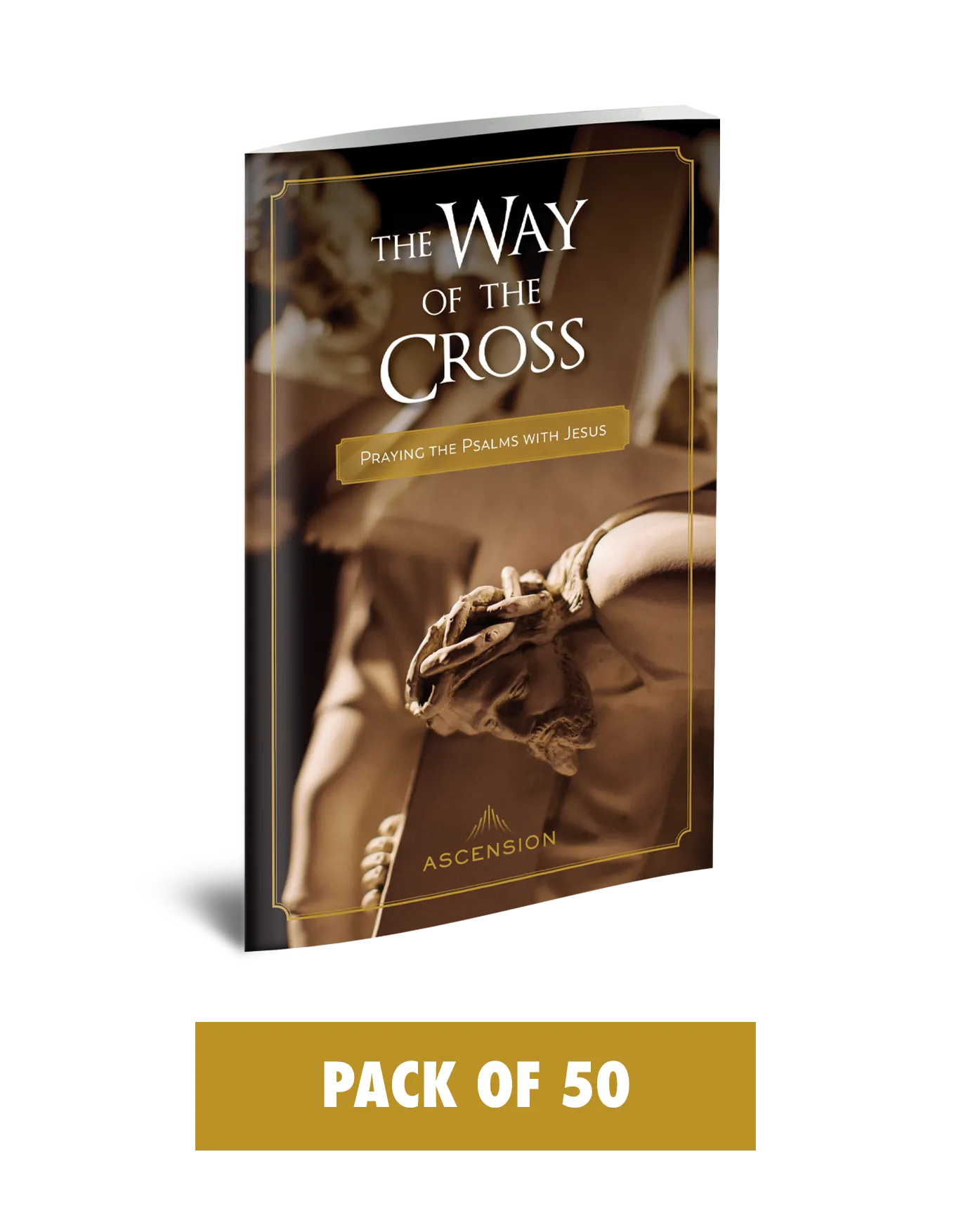 The Way of the Cross: Praying the Psalms with Jesus - Image 7