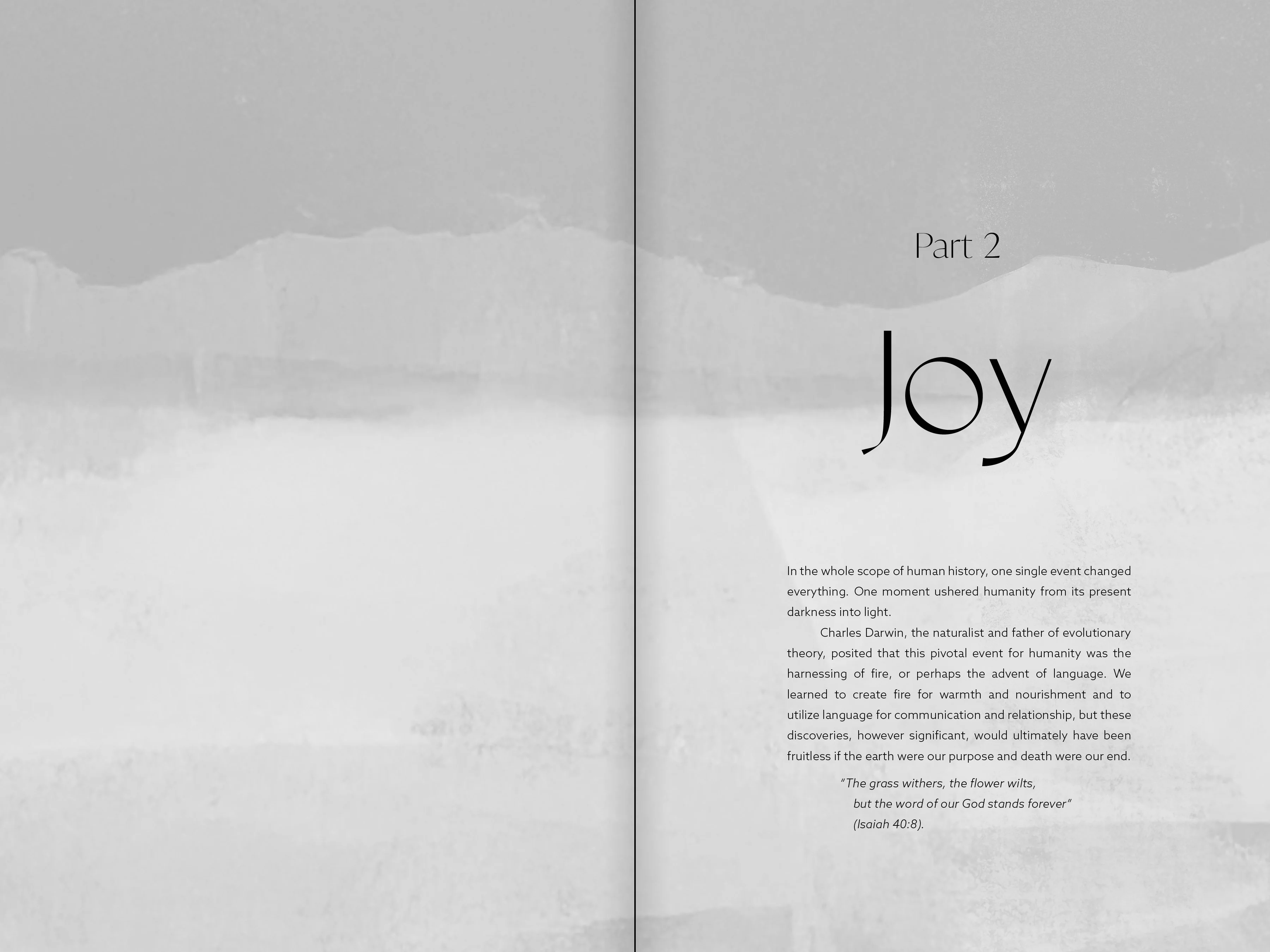 The Way of the Rosary: A Journey with Mary Through Scripture, Liturgy, and Life - Image 4
