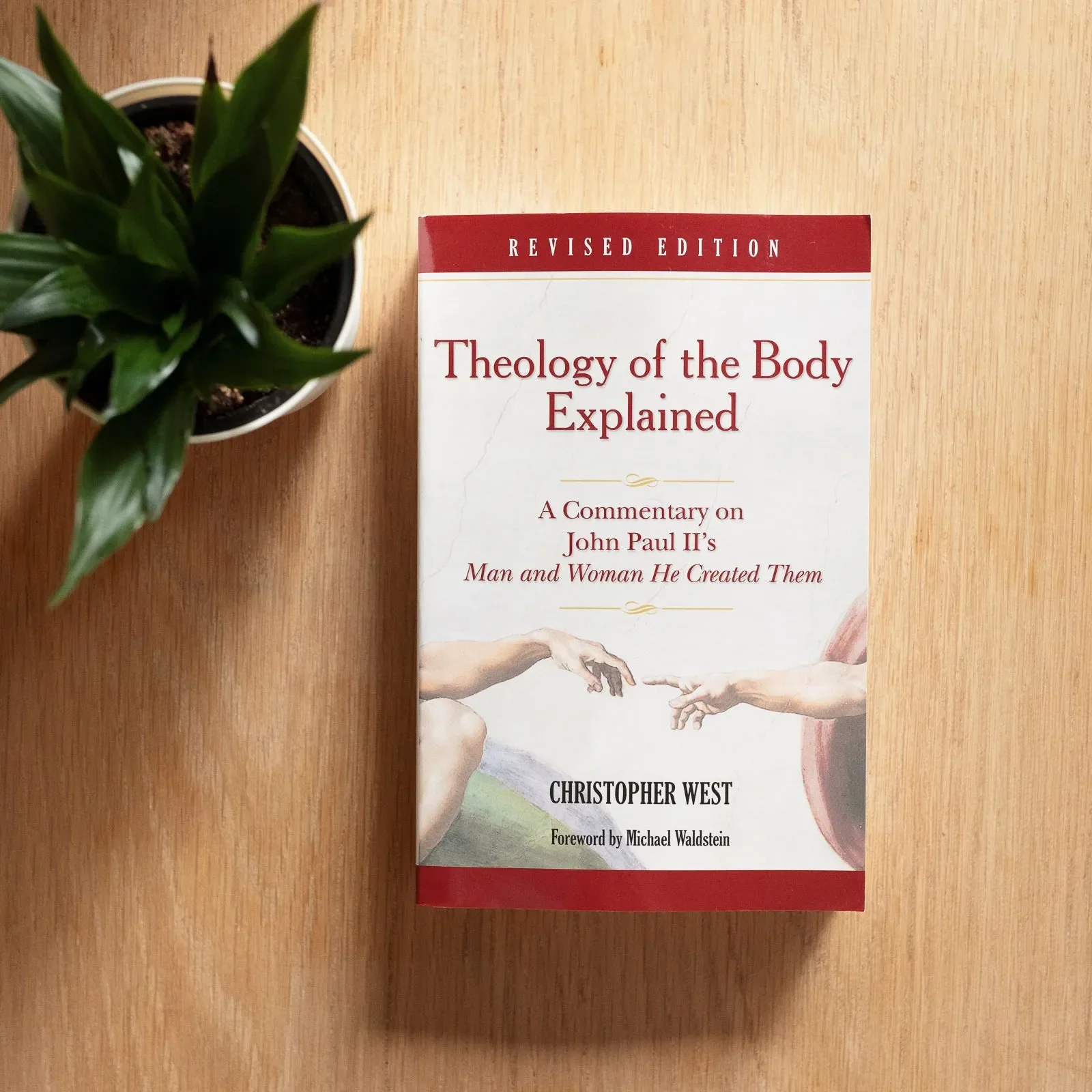 Theology of the Body Explained - Image 2