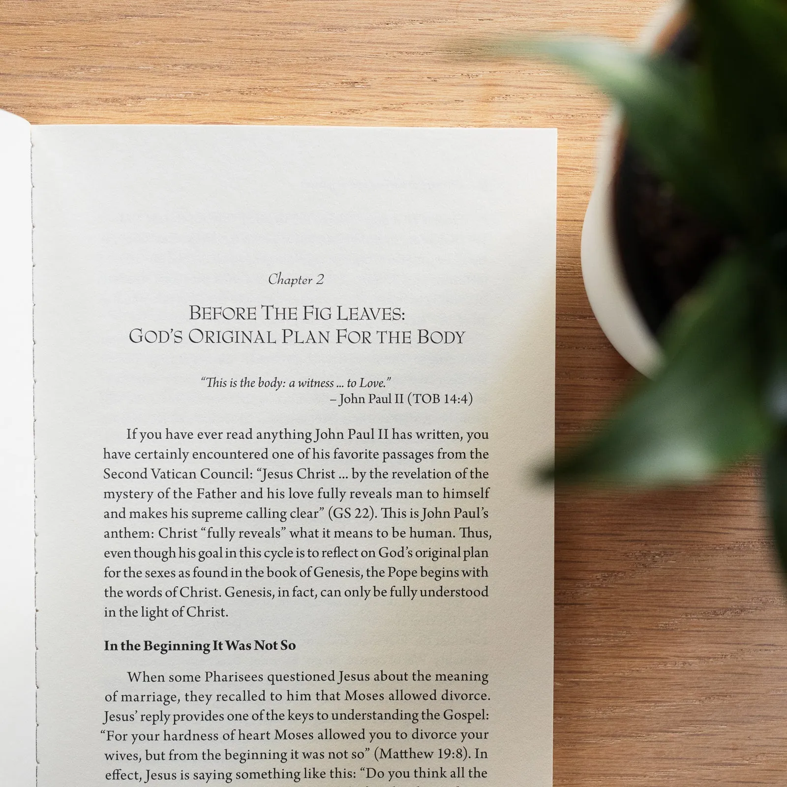 Theology of the Body for Beginners: Revised Edition - Image 5