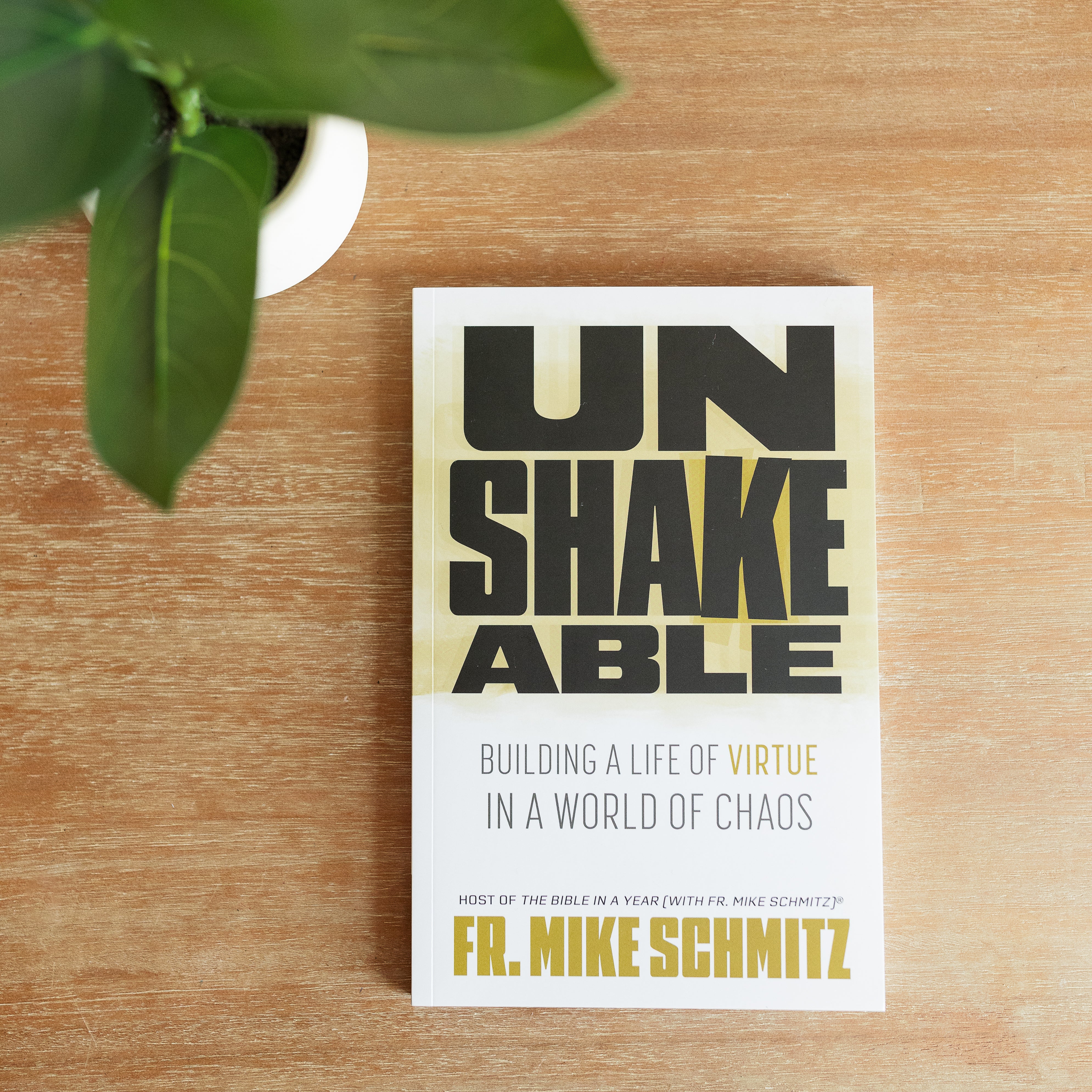 Unshakeable: Building a Life of Virtue in a World of Chaos - Image 9
