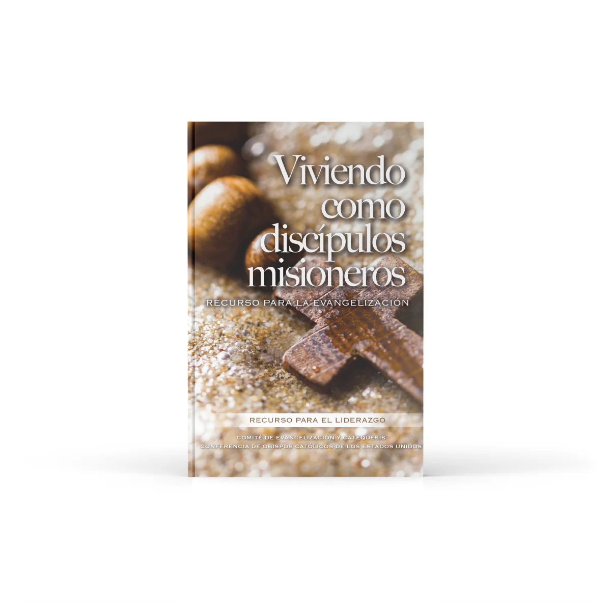 Living as Missionary Disciples: A Resource for Evangelization - Image 3