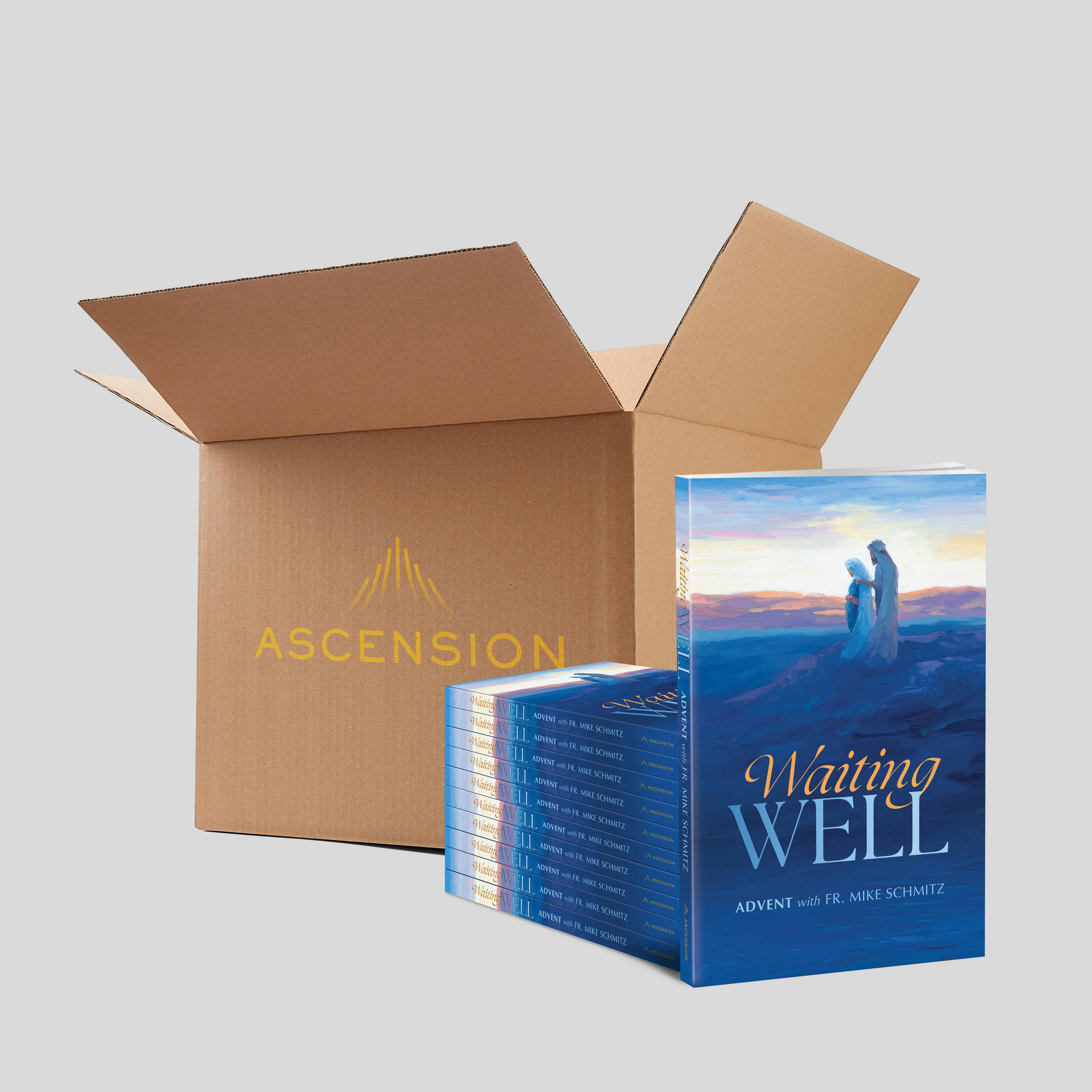 Waiting Well: Advent with Fr. Mike Schmitz, Journal - Image 3