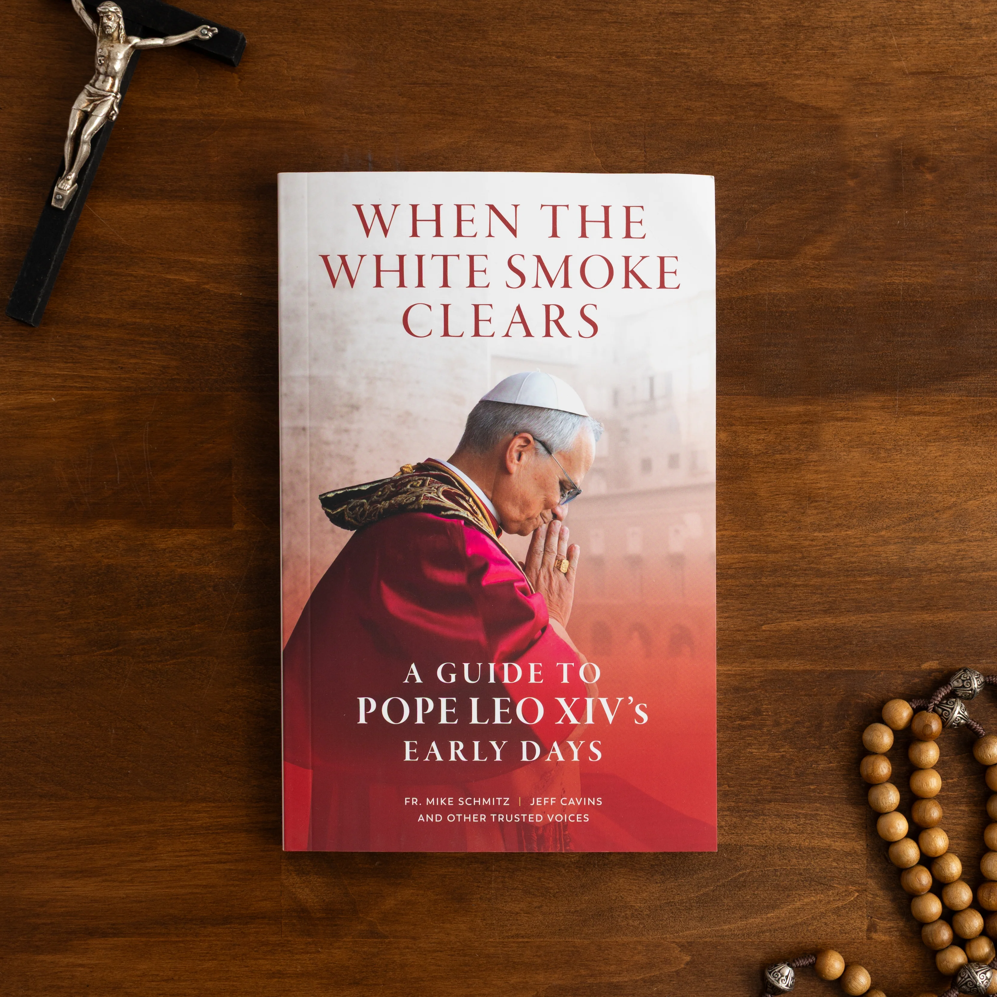 When the White Smoke Clears: A Guide to Pope Leo XIV's Early Days - Image 9
