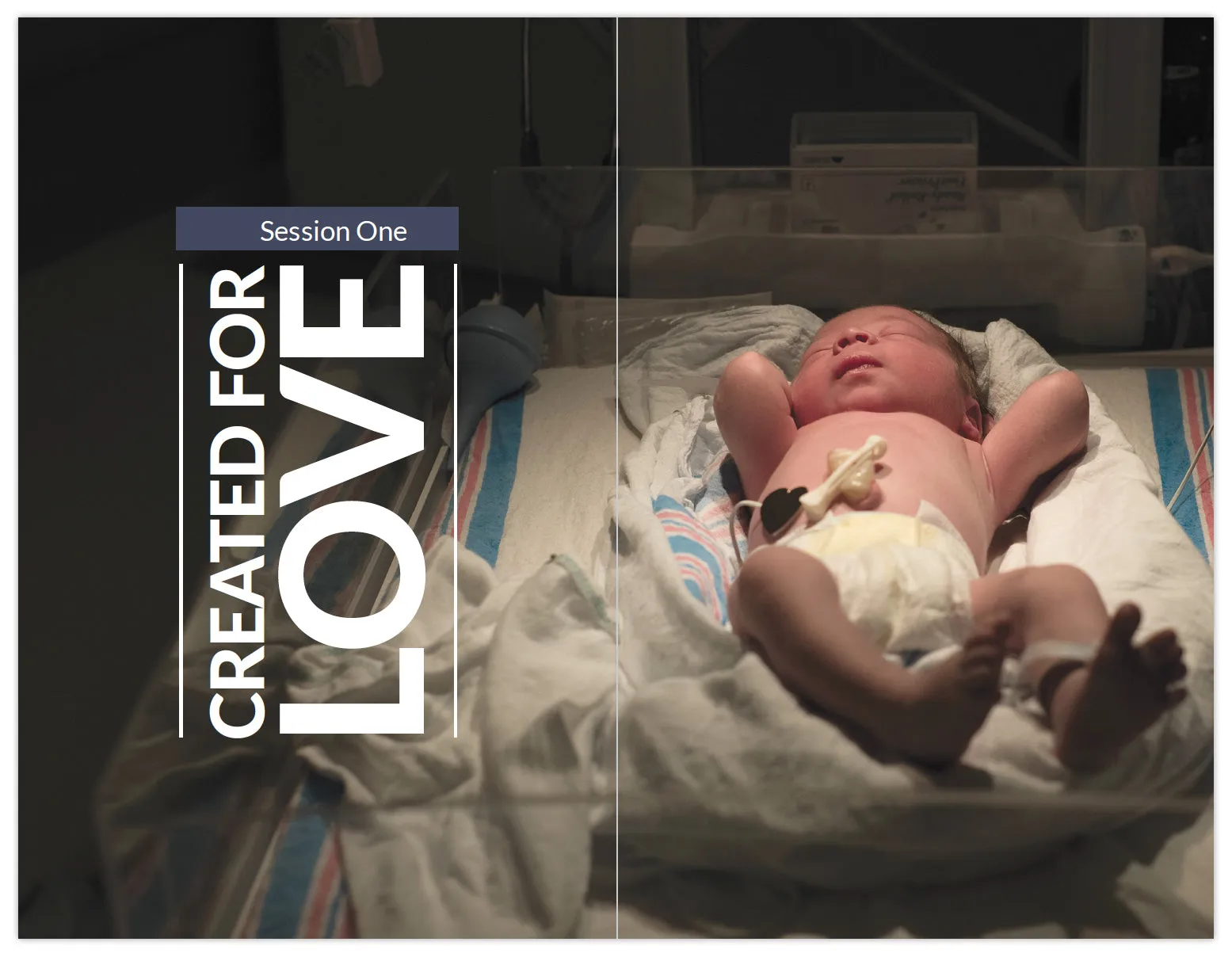 YOU: Life, Love, and the Theology of the Body, Parent's Guide - Image 4