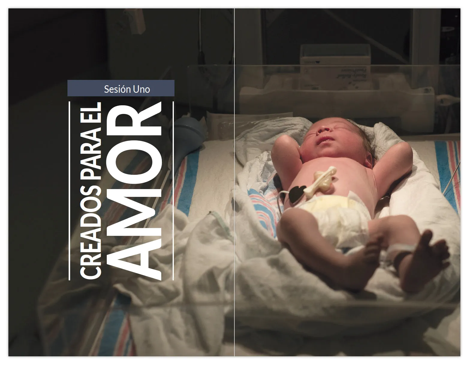 YOU: Life, Love, and the Theology of the Body, Parent's Guide (Spanish) - Image 4